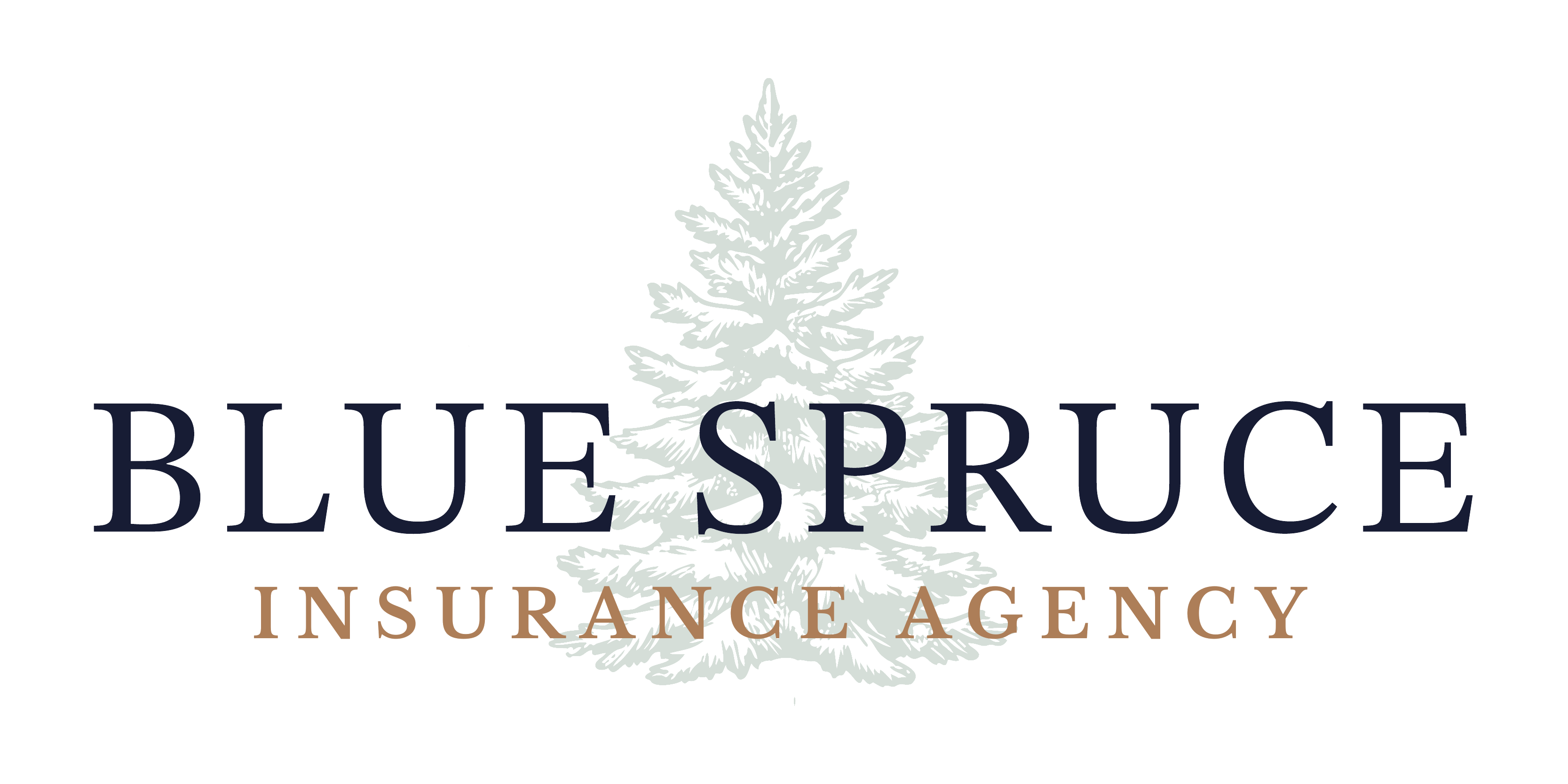 Blue Spruce Insurance Agency